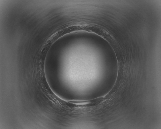 X0000054420968200507291245