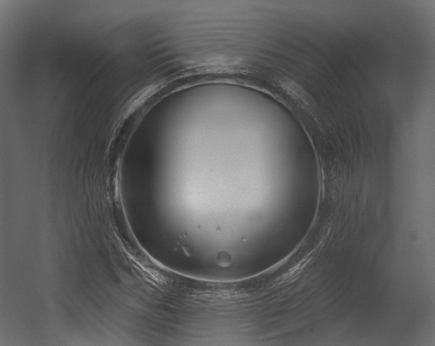 X0000054420970200507291245