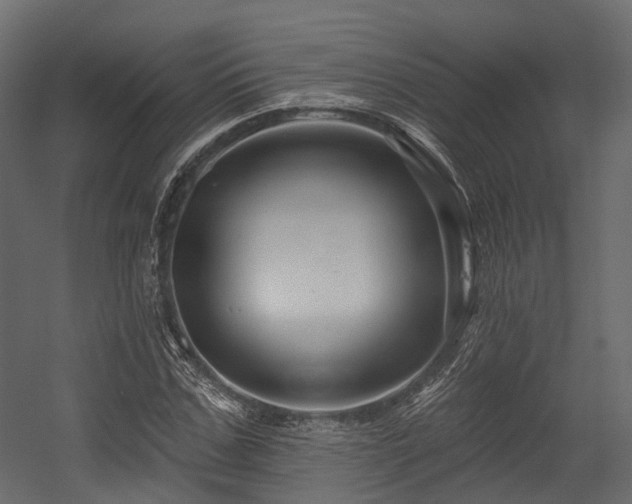 X0000054420971200507291245