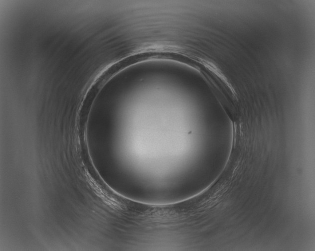 X0000054420972200507291245