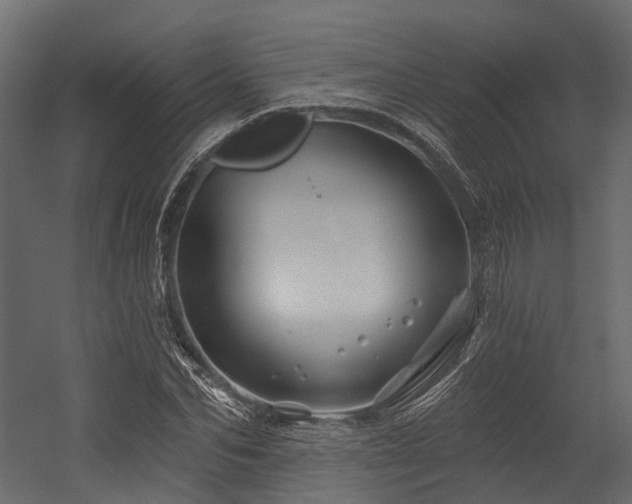 X0000054420974200507291245