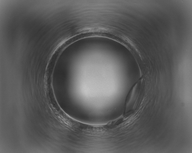 X0000054420975200507291245