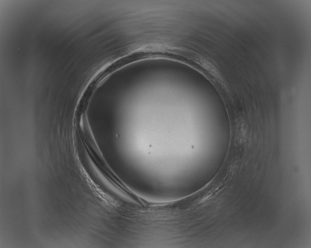 X0000054420976200507291245