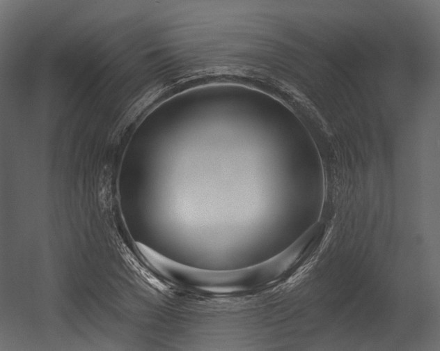 X0000054420977200507291244