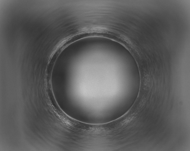 X0000054420978200507291244