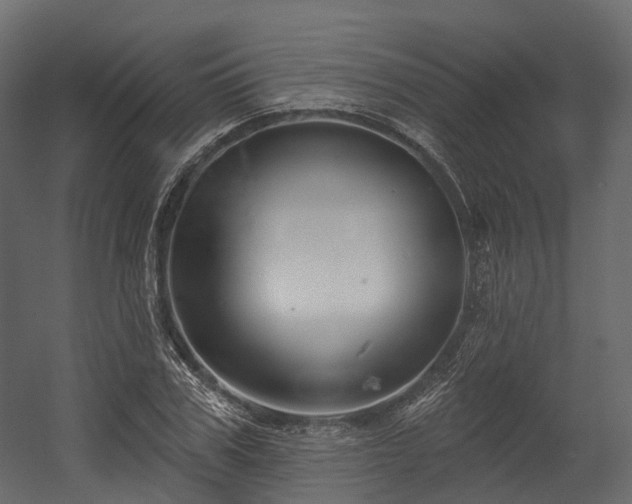 X0000054420979200507291244