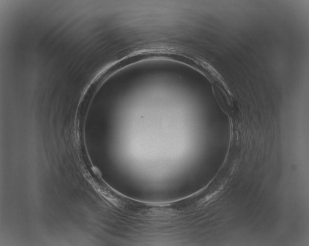 X0000054420981200507291244