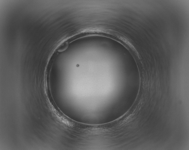 X0000054420984200507291244