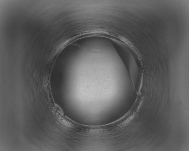 X0000054420985200507291244