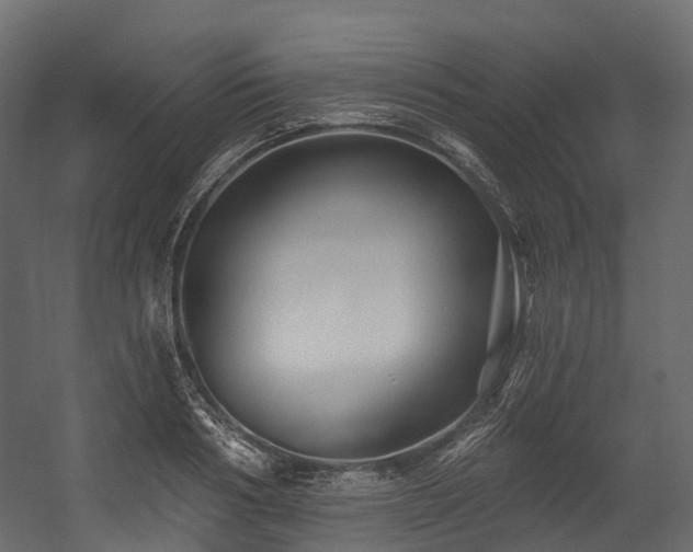 X0000054420986200507291244