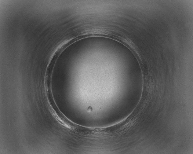 X0000054420987200507291244