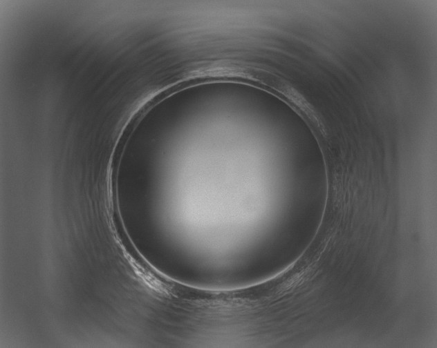 X0000054420988200507291244