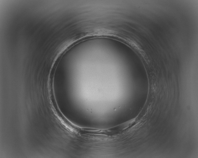 X0000054420990200507291244