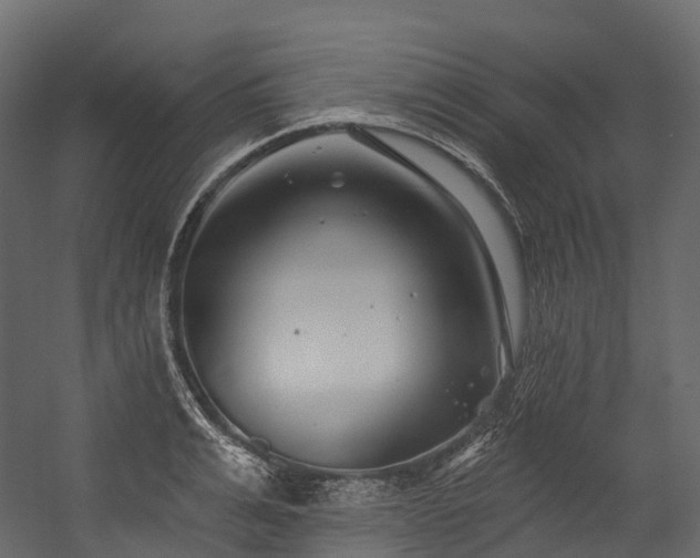 X0000054420991200507291244