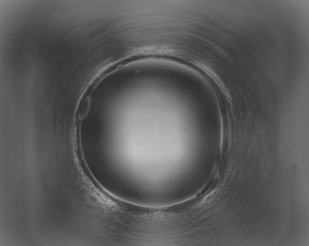 X0000054420992200507291244