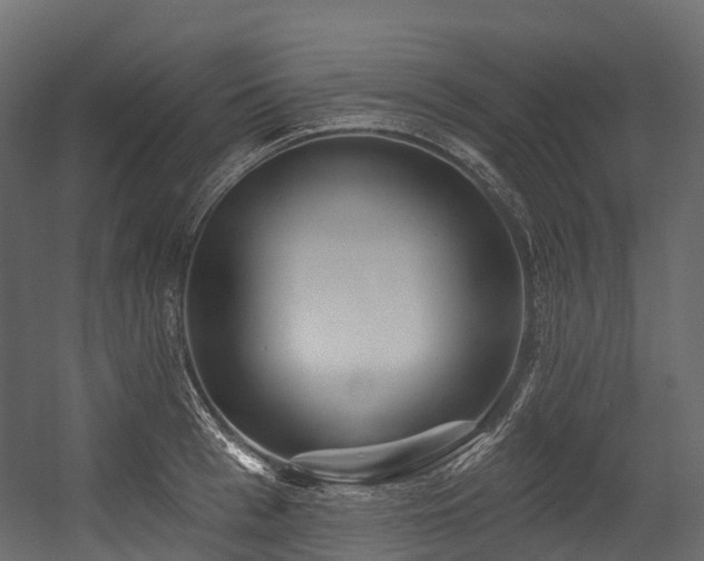 X0000054420993200507291244