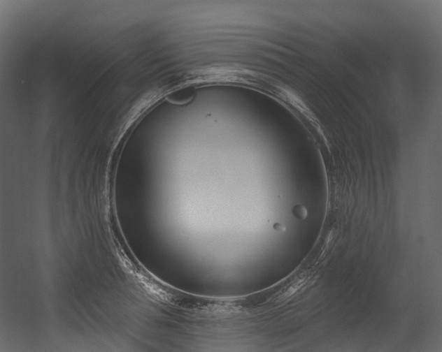 X0000054420994200507291244