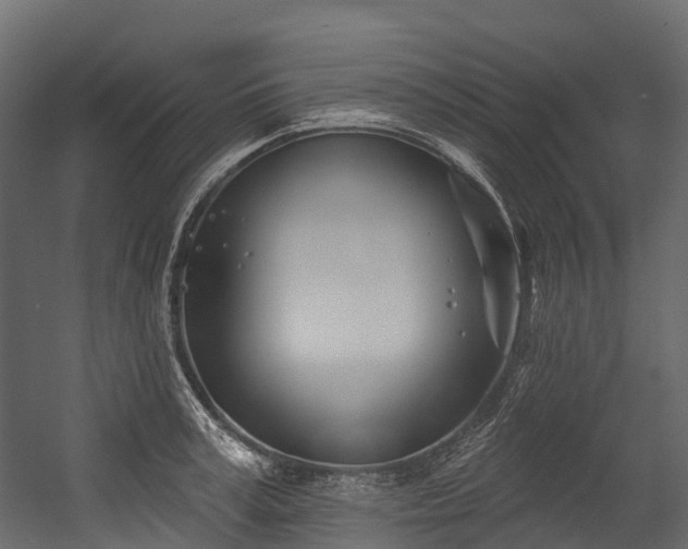 X0000054420995200507291244