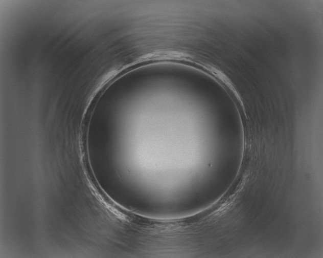 X0000054420997200507291244