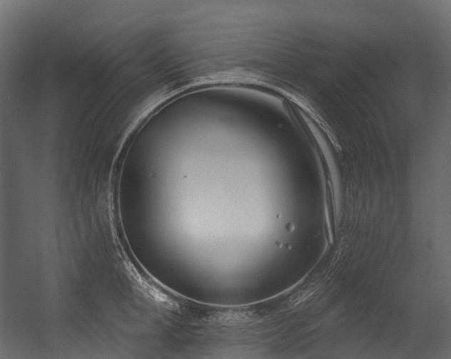 X0000054420998200507291244