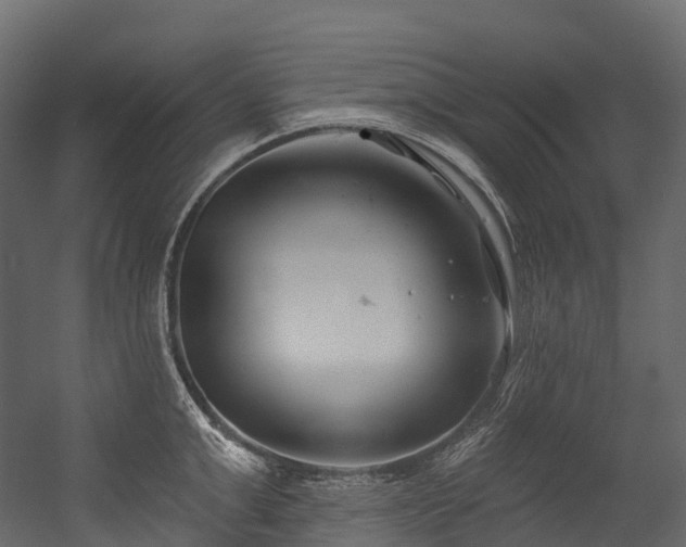 X0000054420999200507291244