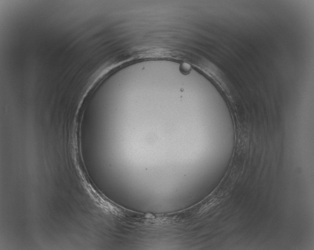 X0000054421000200507291244