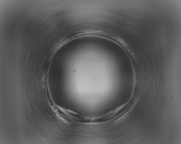 X0000054421001200507291244