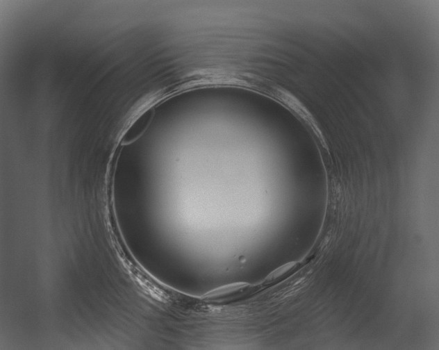 X0000054421002200507291244