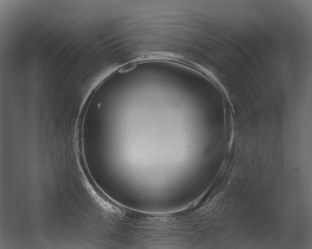 X0000054421003200507291244