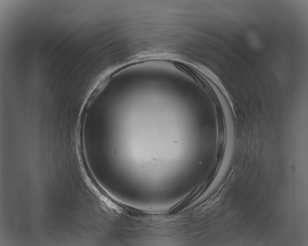 X0000054421005200507291244