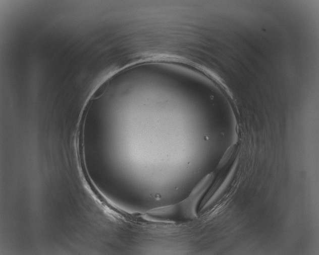 X0000054421007200507291244