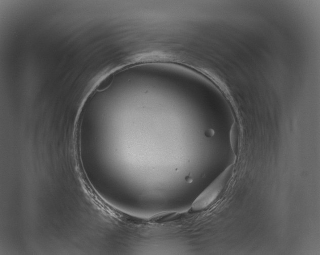 X0000054421008200507291244