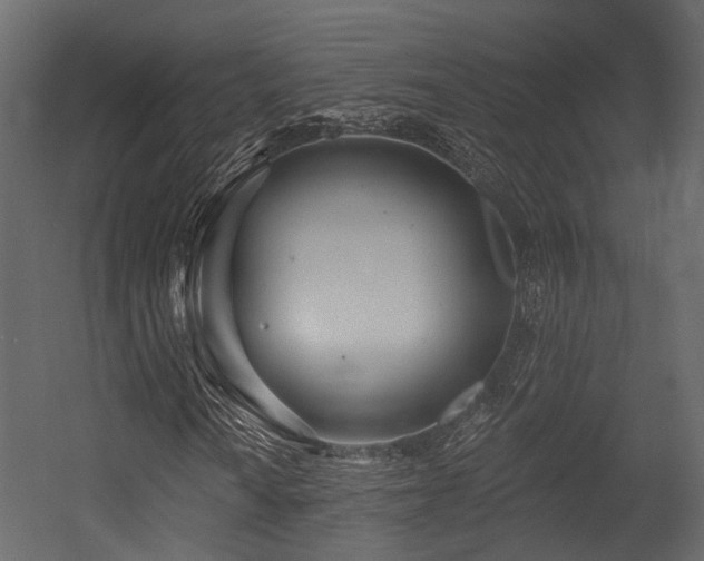 X0000054421010200507291243