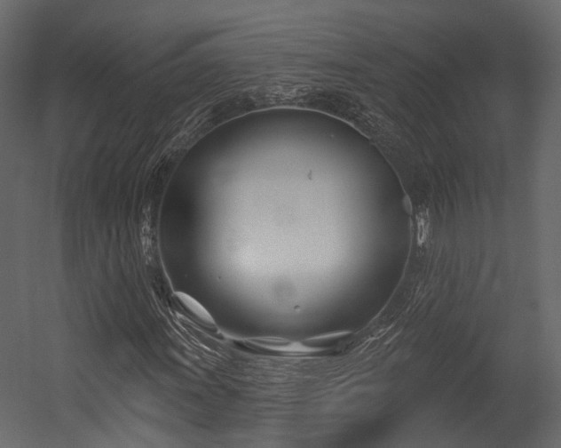 X0000054421011200507291243