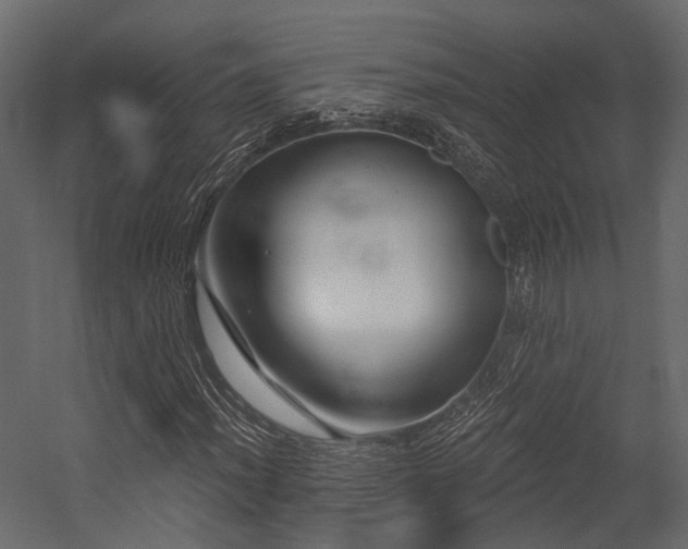 X0000054421012200507291243