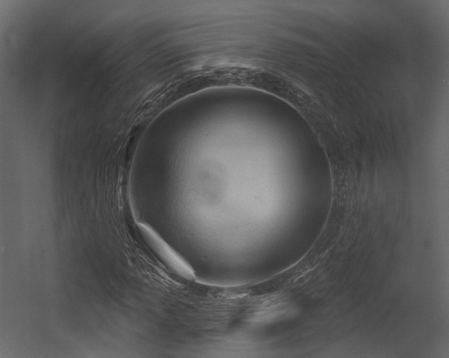 X0000054421013200507291243