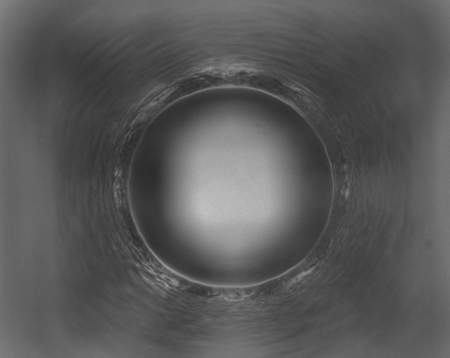 X0000054421014200507291243