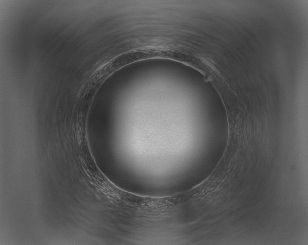 X0000054421015200507291243