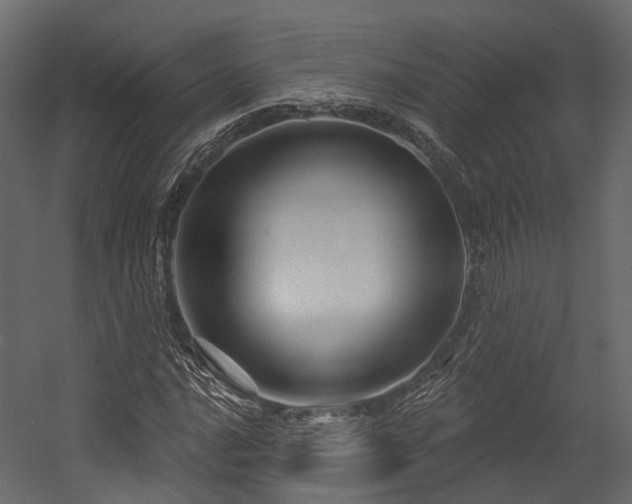 X0000054421016200507291243