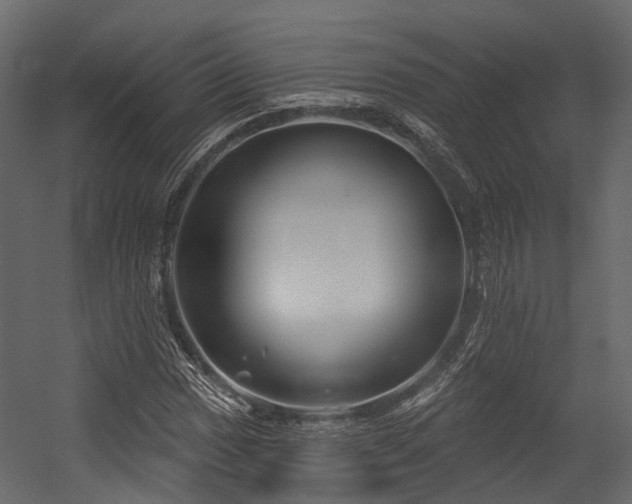 X0000054421017200507291243