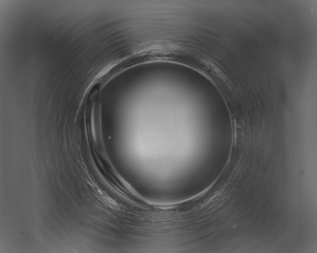 X0000054421018200507291243