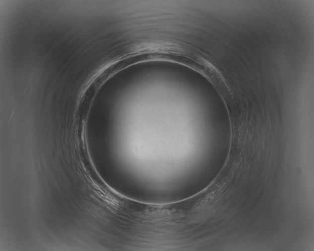 X0000054421019200507291243