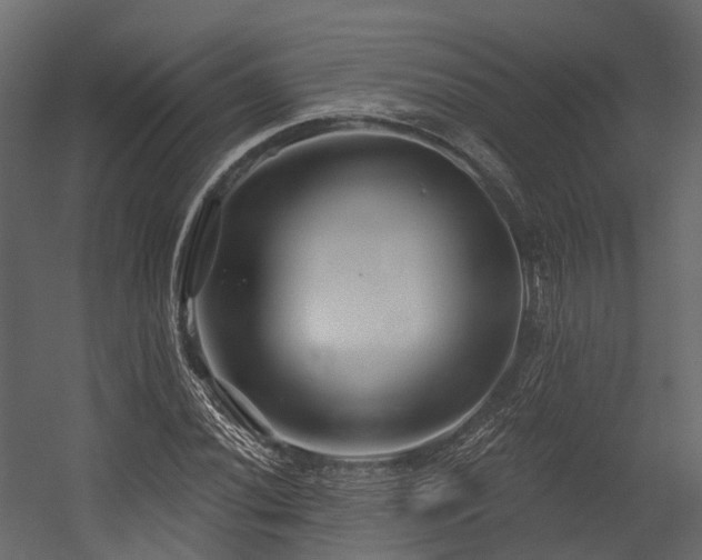 X0000054421020200507291243