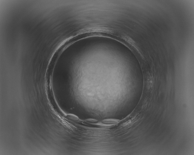 X0000054421024200507291243