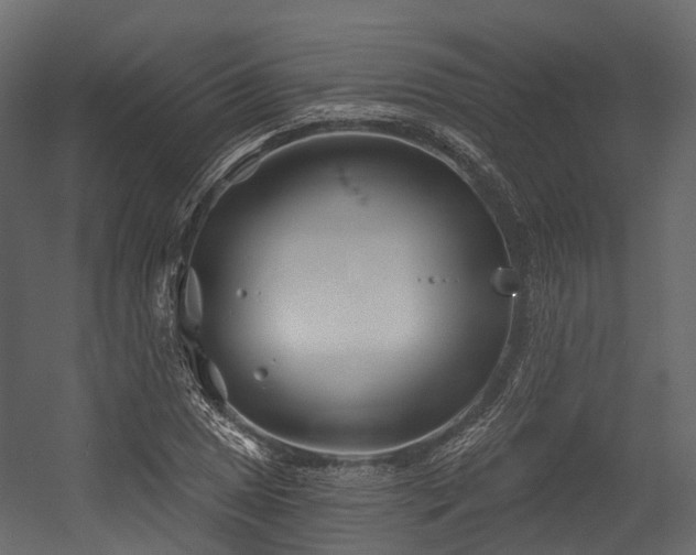 X0000054421025200507291243