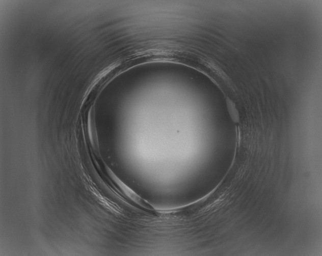 X0000054421026200507291243