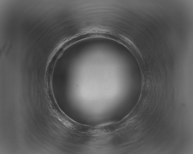 X0000054421027200507291243