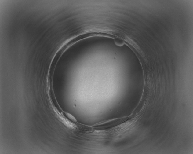 X0000054421028200507291243