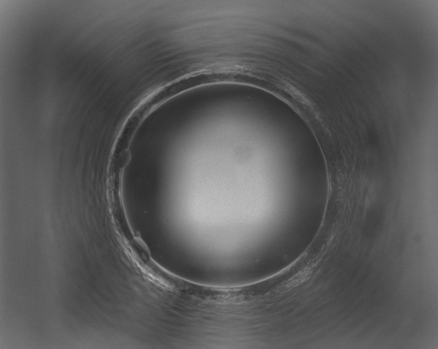 X0000054421029200507291243