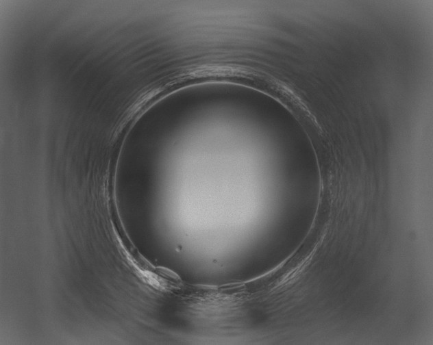 X0000054421033200507291244